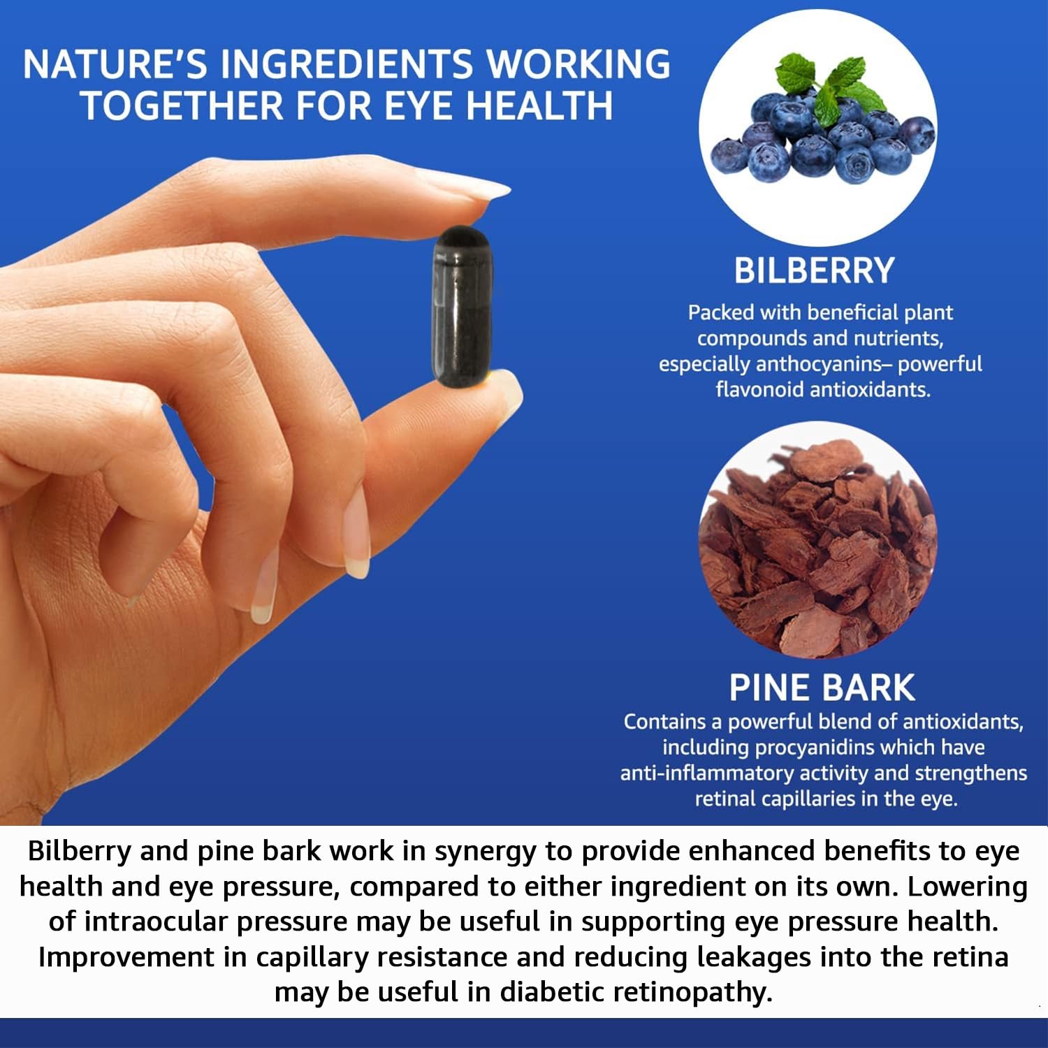 Intelligent Formula Vision Defender BP Bilberry Capsules packaging