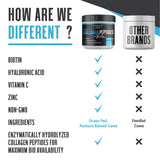 Intentionally Bare Collagen Peptides Powder scoop with powder