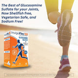 InvigoFlex Chondroitin Supplement 100g capsules