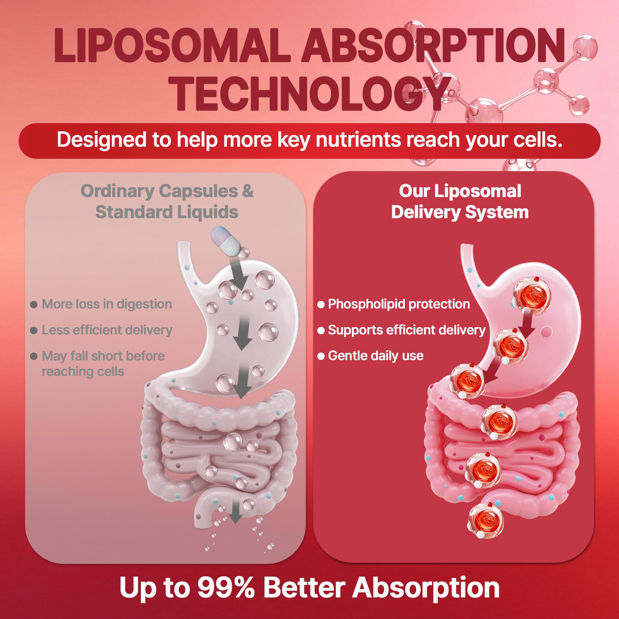 IOUFCIY Urolithin A Liposomal Supplement 1000mg capsule close-up