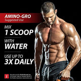 iSatori Amino-GRO BCAA Powder 340g flavour close-up