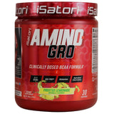 iSatori Amino-GRO BCAA Powder 340g front view