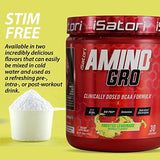 iSatori Amino-GRO BCAA Powder 340g scoop and powder