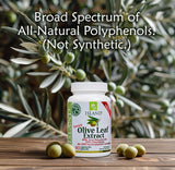 Island Nutrition Olive Leaf Extract 500mg Capsules with olive branches
