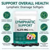 ISUNRISE Echinacea 21-in-1 Lymphatic Support Softgels side view