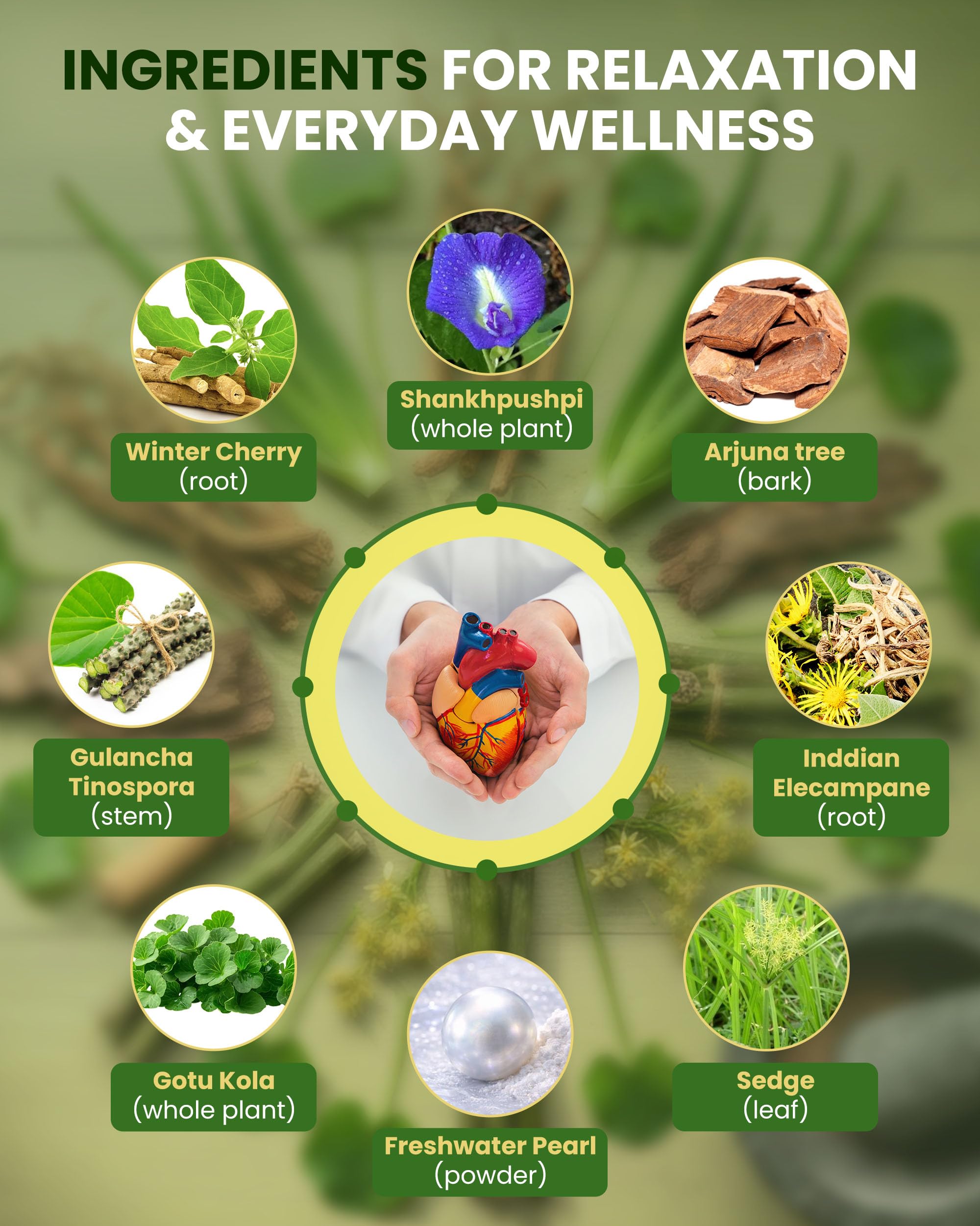 Ivy's Muktavati Multivitamin supplement in hand