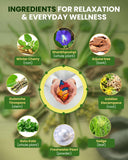 Ivy's Muktavati Multivitamin supplement in hand