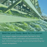 Iwi Vegan Omega-3 Softgels packaging details
