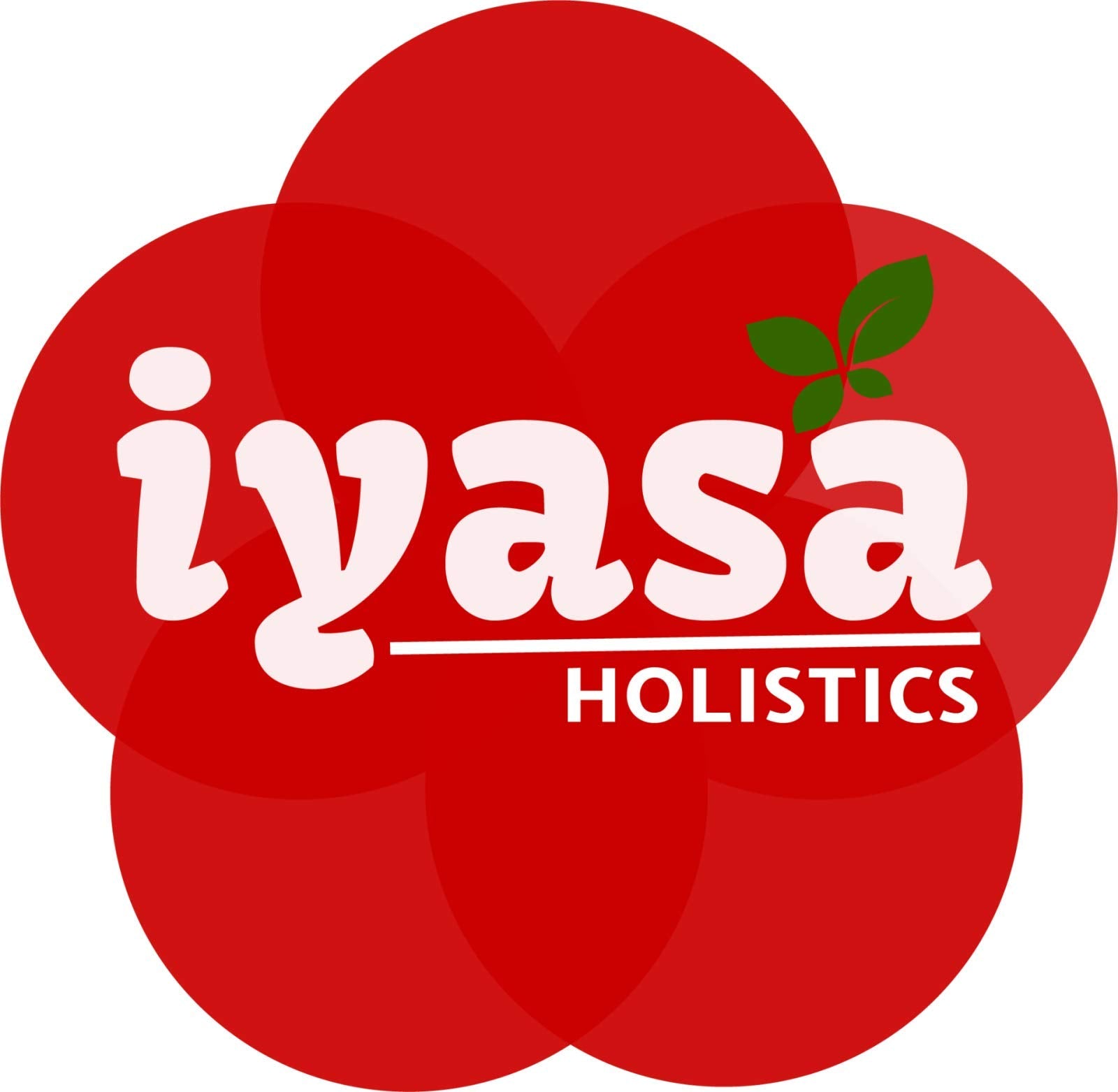 Iyasa Holistics Organic Shatavari Root Powder 227g mixed in a smoothie