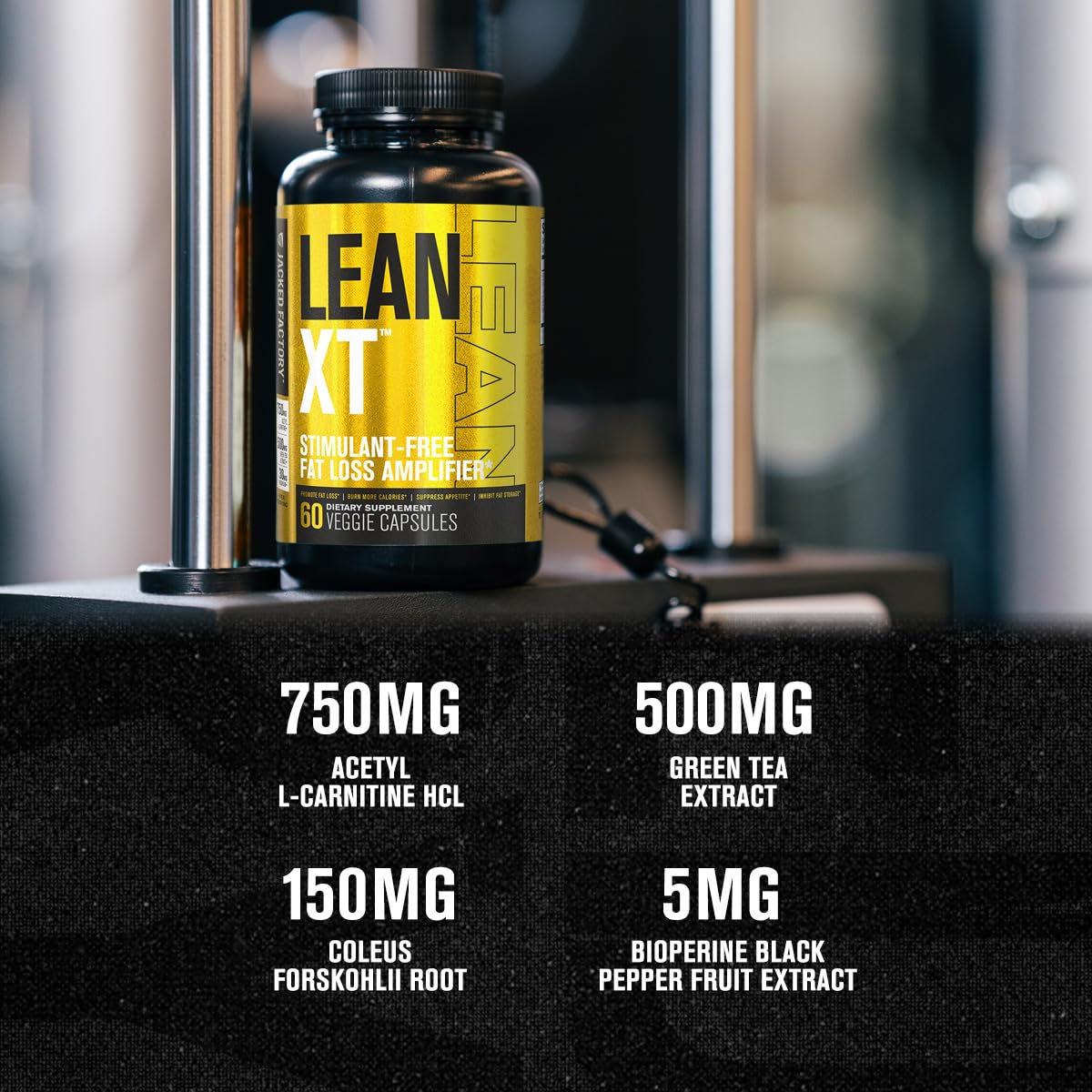 Jacked Factory Lean XT Non-Stimulant Fat Burner in hand for size comparison