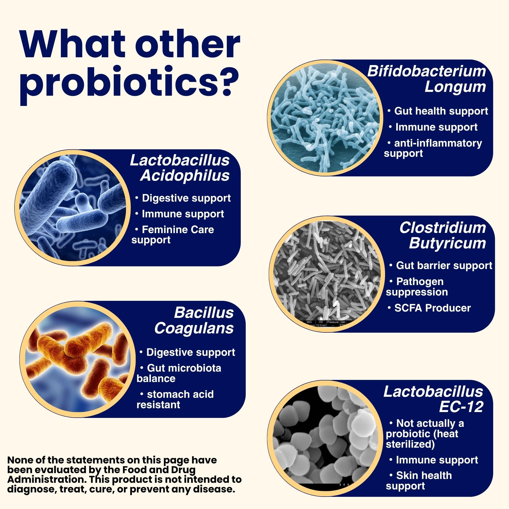 Japan f Labo Pro MIX Probiotic Supplement sachets in a bowl