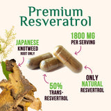 Japanese Knotweed source for Resveratrol
