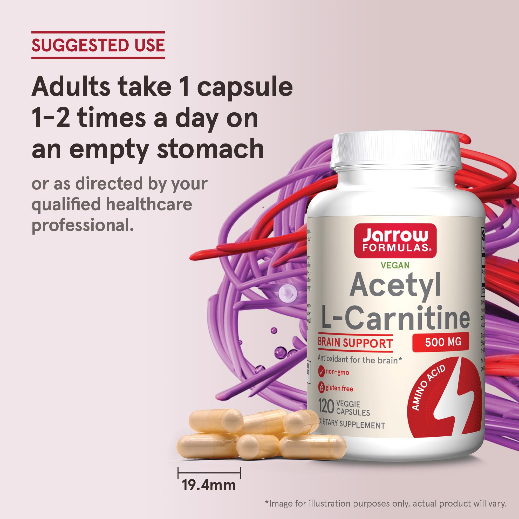 Jarrow Formulas Acetyl L-Carnitine 500mg veggie capsules back view