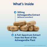 Jarrow Formulas Ashwagandha 300mg Capsules back view