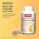 Jarrow Formulas Glucosamine + Chondroitin + MSM supplement with a measuring spoon