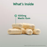 Jarrow Formulas Mastic Gum 1000 mg Veggie Capsules packaging
