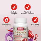 Jarrow Formulas QH-absorb + PQQ Softgels side view