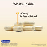 Jarrow Formulas Type II Collagen Complex 60g capsule close-up