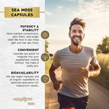 JB Wellness Co Black Seed Oil Sea Moss Capsules open bottle