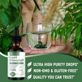 JB Wellness Co Liquid Chlorophyll Drops lifestyle scene