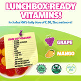 Jelly.Boo Multivitamin Gummies individual snack pack