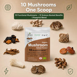 Jetsu Mushroom Supplement 10 Blend Organic Extracts nutritional information