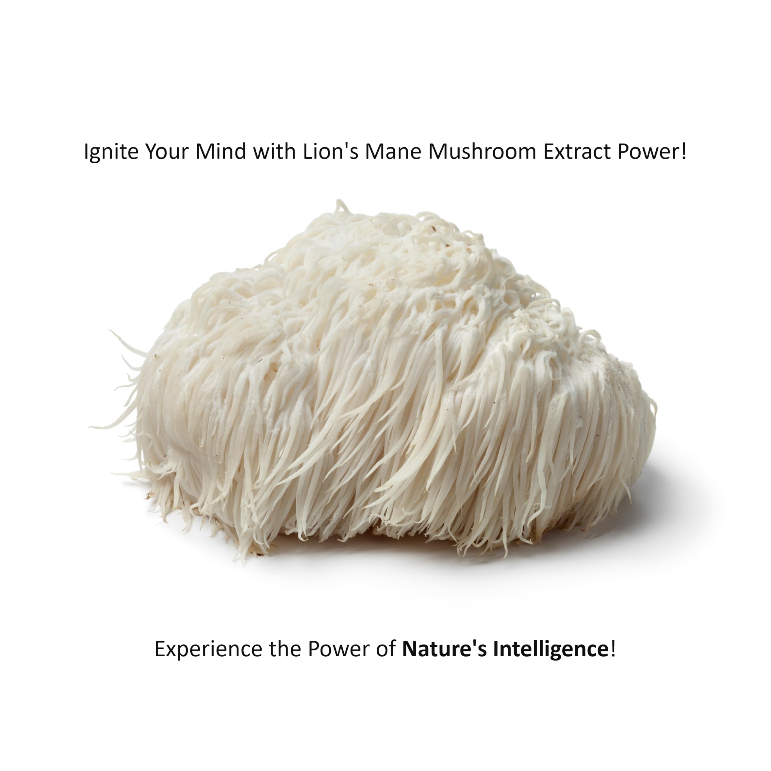 Jetsu Pure 7 Mushroom Complex ingredients list