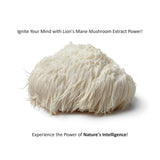 Jetsu Pure 7 Mushroom Complex ingredients list