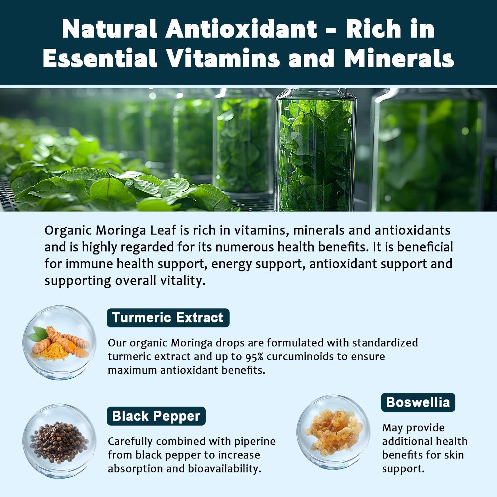 JIANKYTZ Organic Moringa Liquid Drops packaging details
