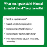 Jigsaw Health Multi-Mineral Essential Blend 50g capsules with a glass of water