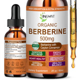 JINGYAT Berberine Liquid Drops bottle front view