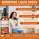 JINGYAT Berberine Liquid Drops dropper close-up