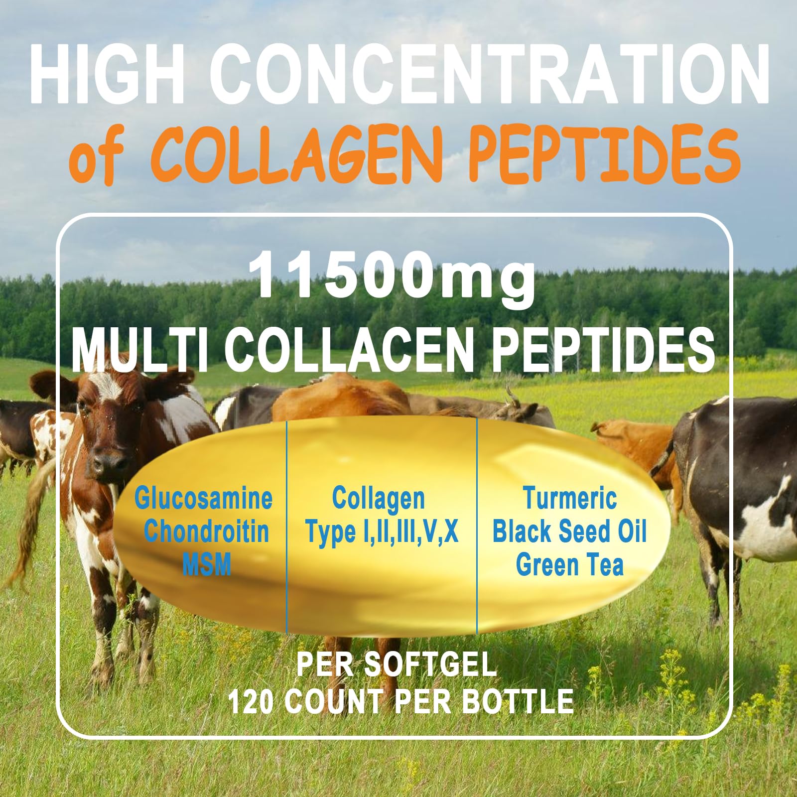 JINGYAT Multi Collagen Peptides Softgels back view with ingredient list