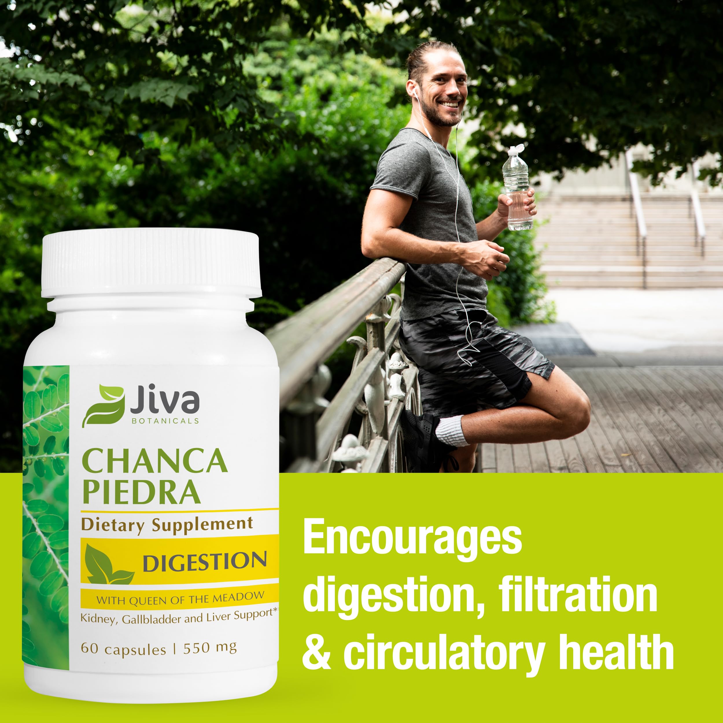Jiva Botanicals Chanca Piedra Capsules 500mg bottle with label
