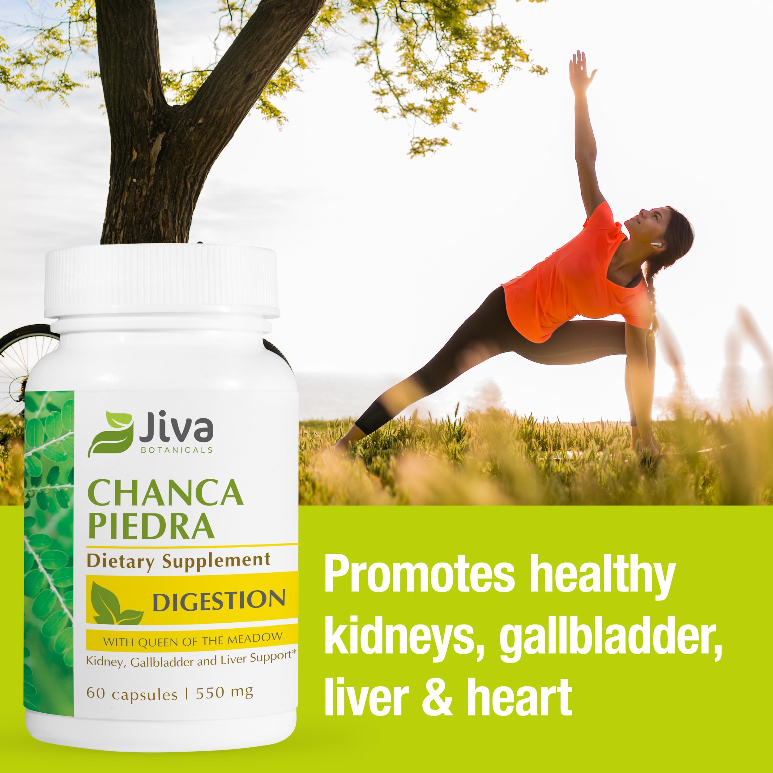 Jiva Botanicals Chanca Piedra Capsules 500mg capsules on a wooden surface
