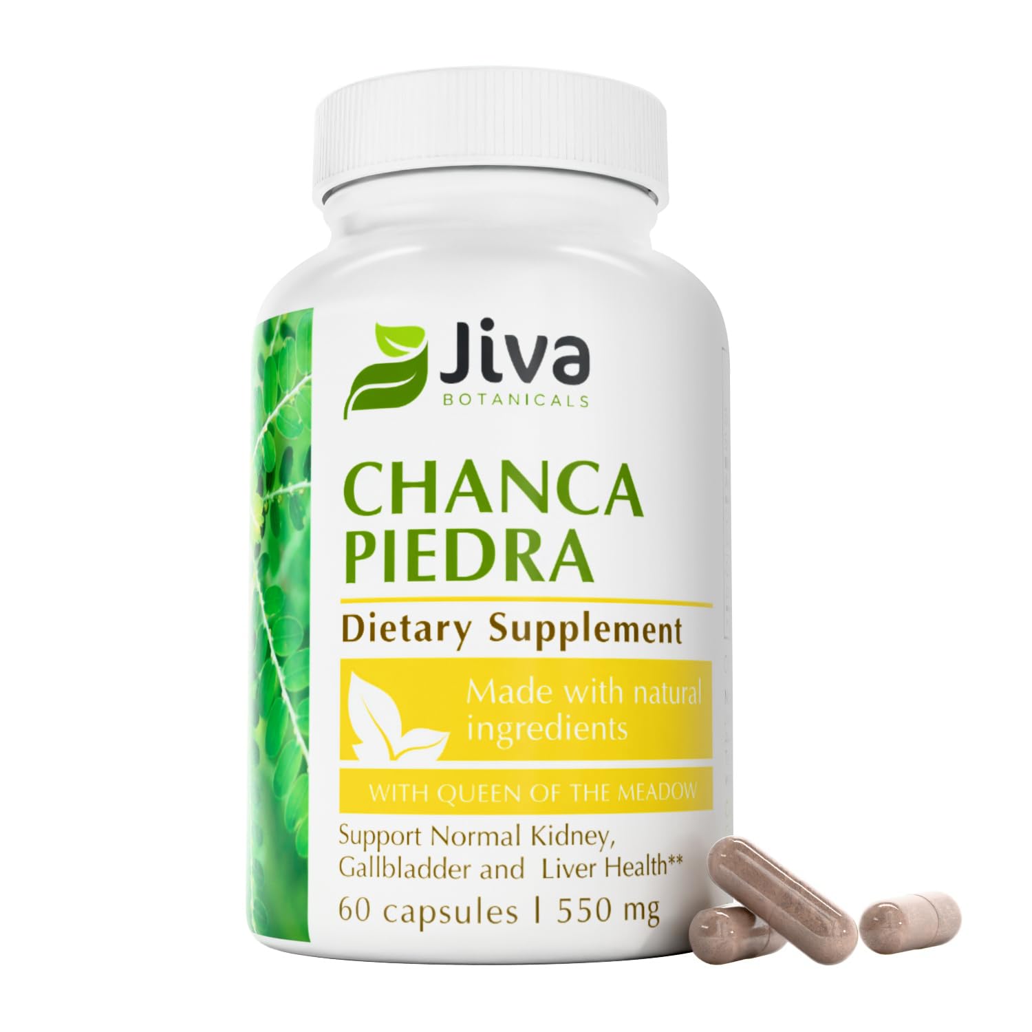 Jiva Botanicals Chanca Piedra Capsules 500mg front view