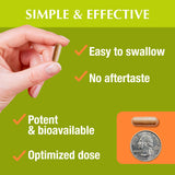 Jiva Botanicals Chanca Piedra Capsules 500mg nutritional information