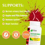 Jiva Botanicals Cranberry Capsules 650mg bottle with label