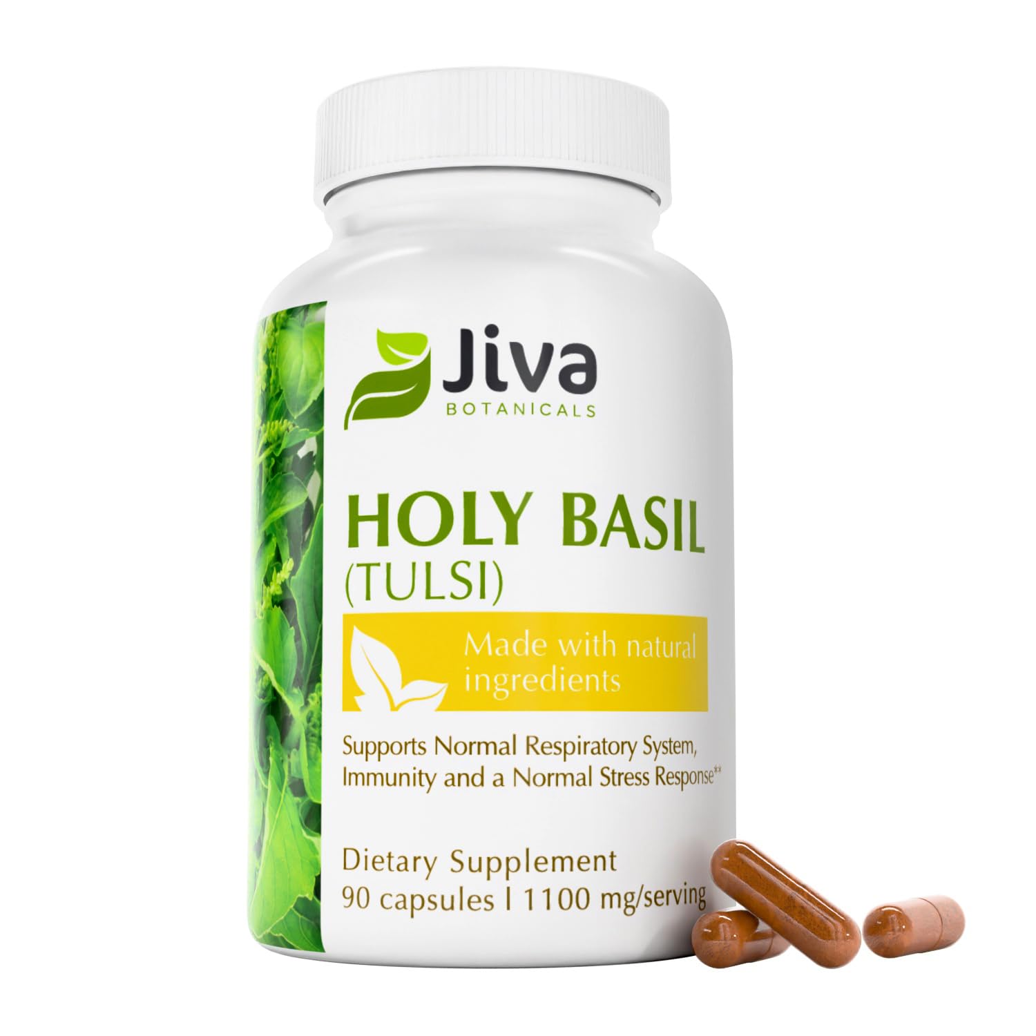Jiva Botanicals Holy Basil Capsules 1100mg front view