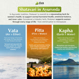Jiva Botanicals Shatavari Capsules ingredients list