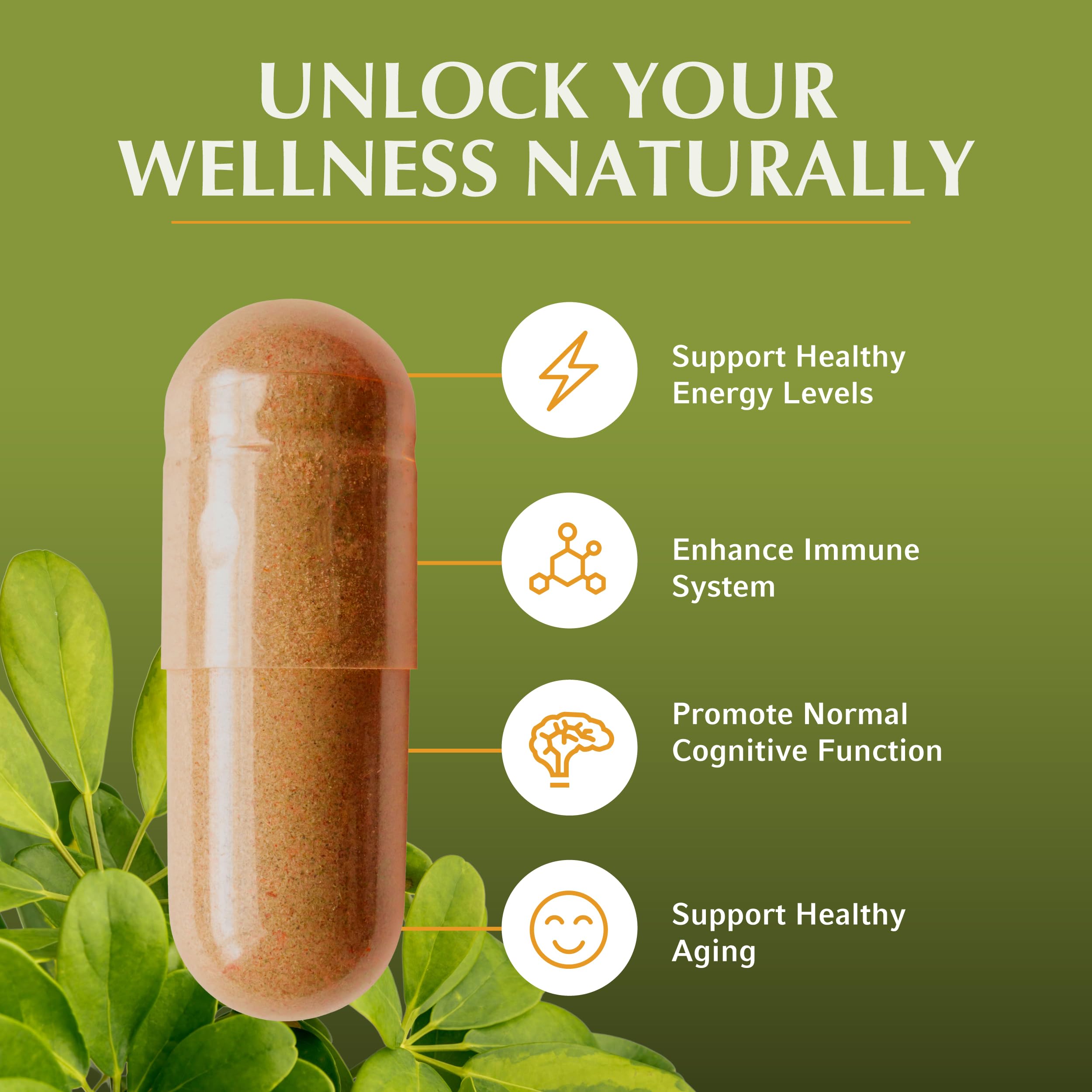 Jiva Botanicals Shilajit Capsules 700mg side view
