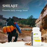 Jiva Botanicals Shilajit Capsules with measuring spoon
