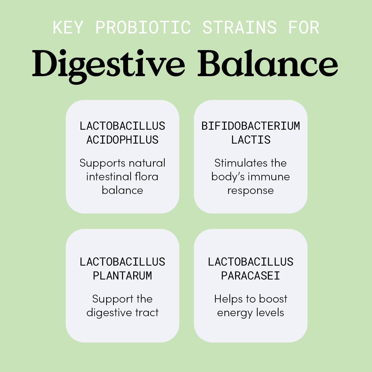JLM NUTRITIONALS Probiotic Supplement on a kitchen counter