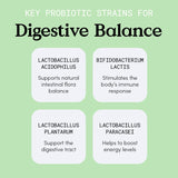 JLM NUTRITIONALS Probiotic Supplement on a kitchen counter