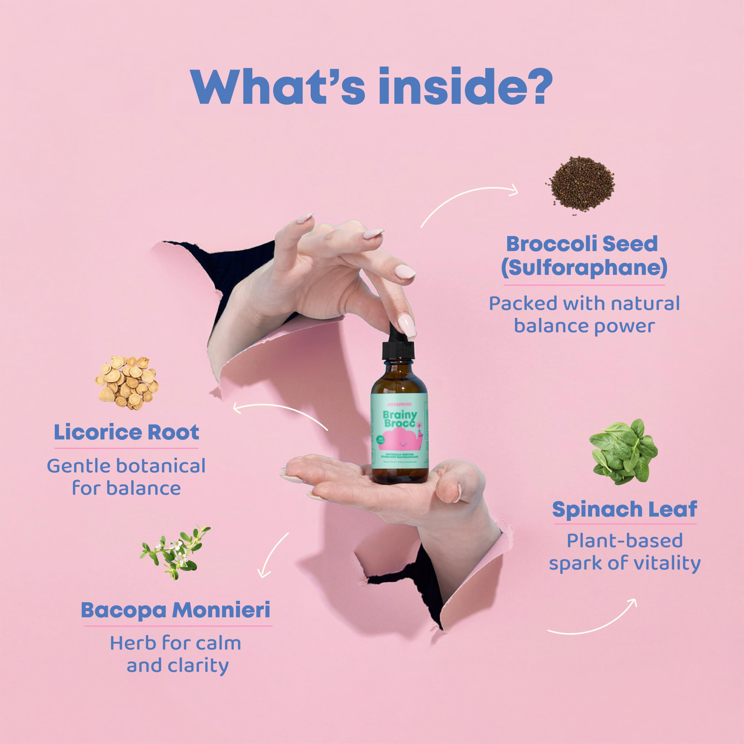 JoySpring Bacopa Monnieri Supplement bottle back view