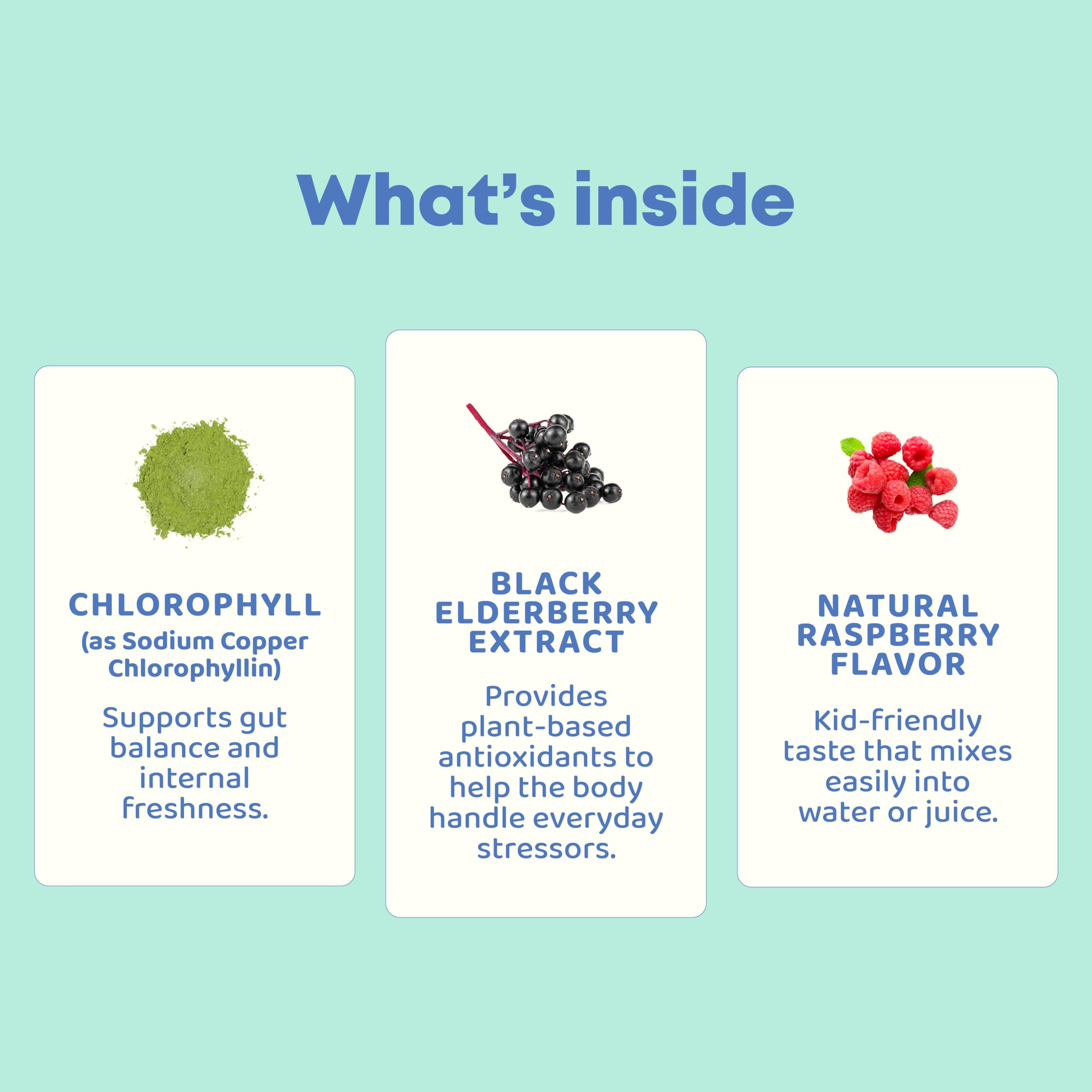 JoySpring Kids Chlorophyll Drops 18g label details
