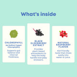 JoySpring Kids Chlorophyll Drops 18g label details