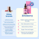 JoySpring ZincBerry Kids Zinc Supplement dropper close-up
