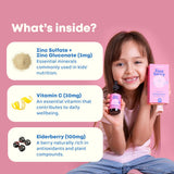 JoySpring ZincBerry Kids Zinc Supplement elderberry flavour drops