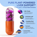 Joyung Milk Thistle Supplement 540mg back view with ingredient list